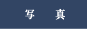 ʐ^